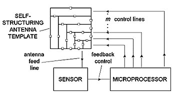 Mtu ping pip hustler system